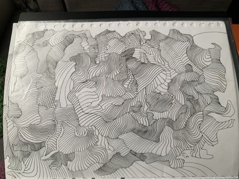 Foam