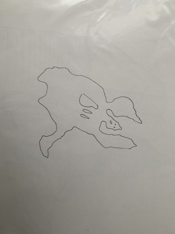 Smiling Puddle