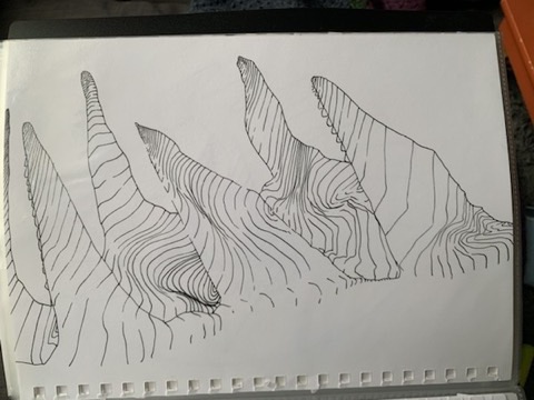 Horns