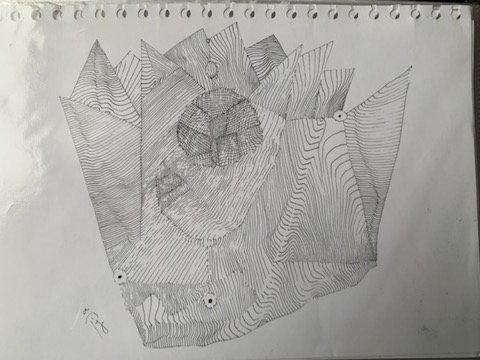 Paper Fish