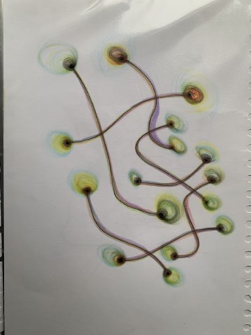 Spores