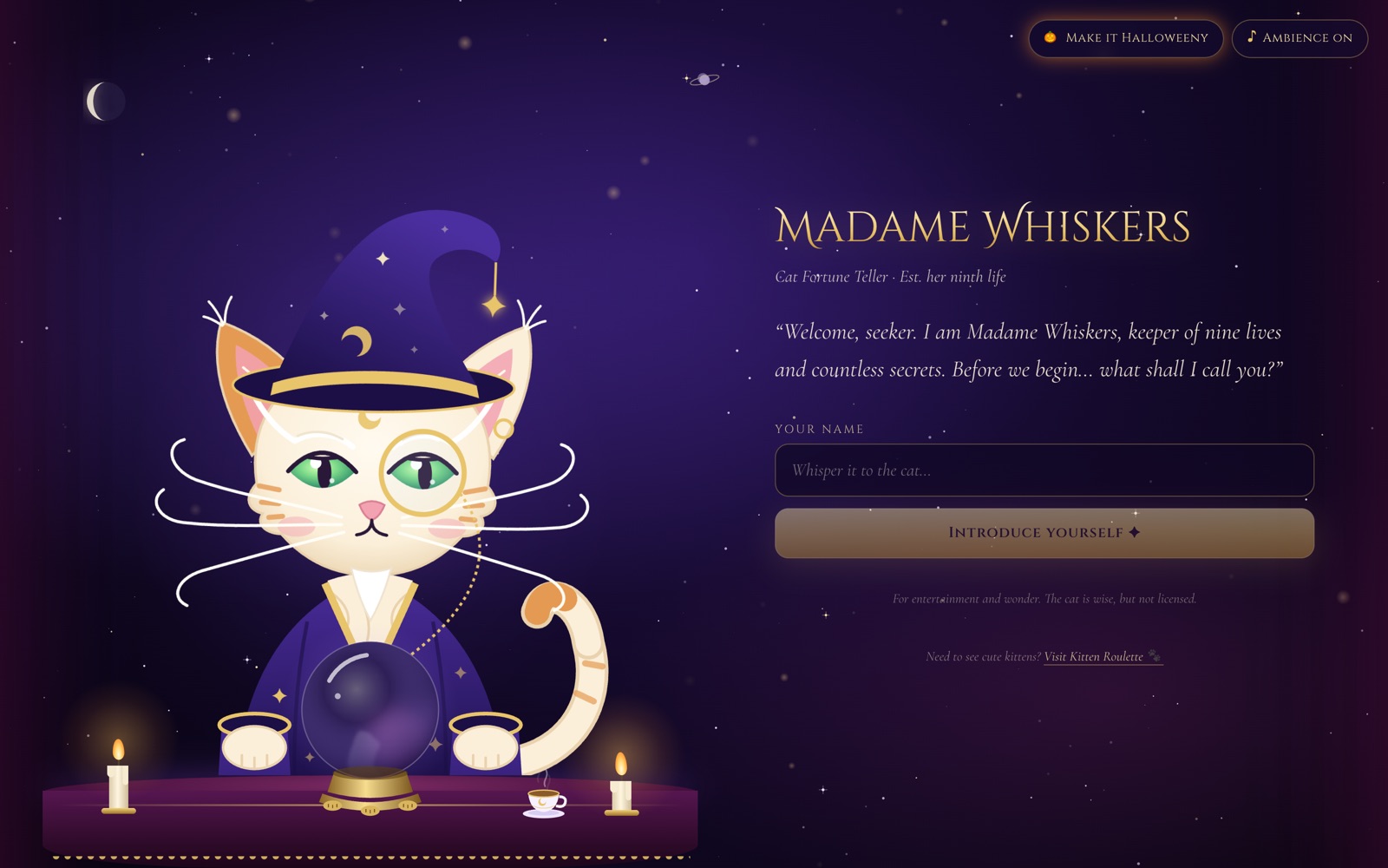 Madame Whiskers: a cat in a starry wizard hat and monocle behind a crystal ball